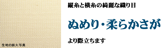 綿シルクカバーの拡大写真